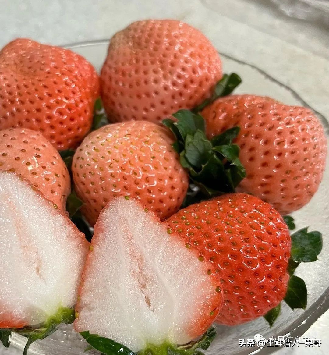 最好吃的白草莓品种前十名,好吃实惠的草莓品种有哪些