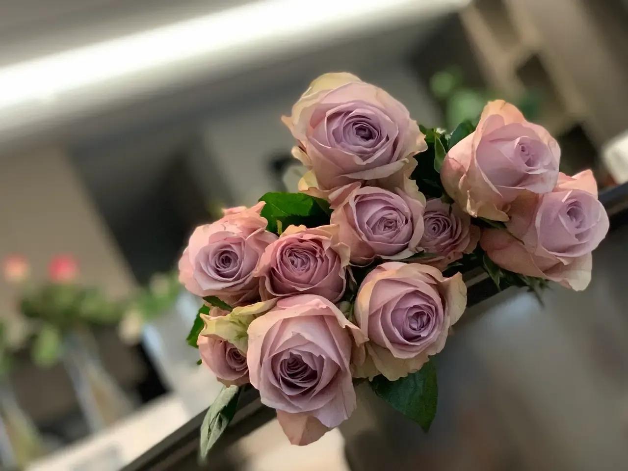 时光里的救赎48,时光里的救赎27