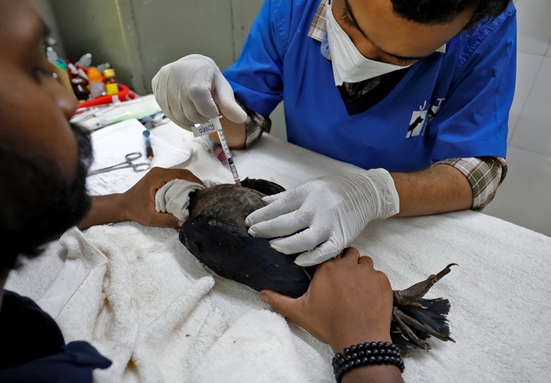 夏季高温中暑事件,高温中暑死亡事件预警