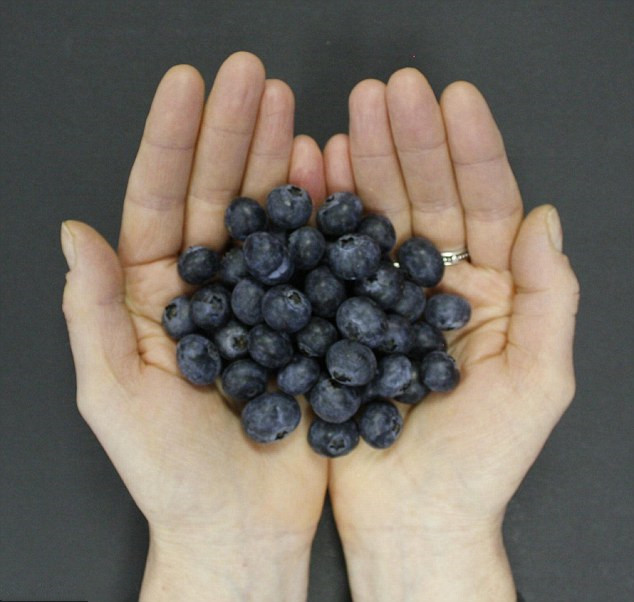 双语美文每一天都是特别的,双语美文一日三餐