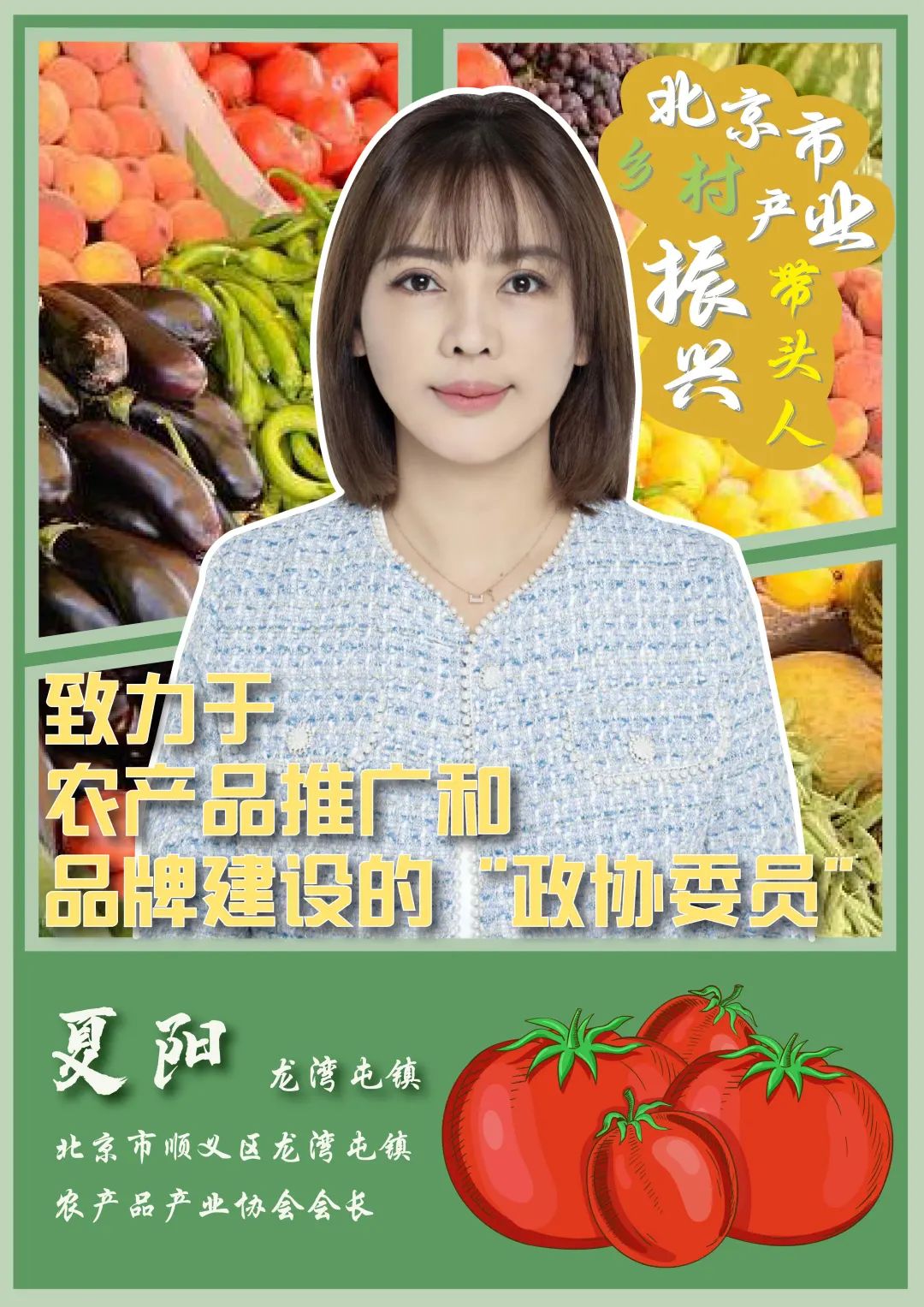 乡村产业振兴带头人头雁计划,2023年乡村振兴带头人头雁项目