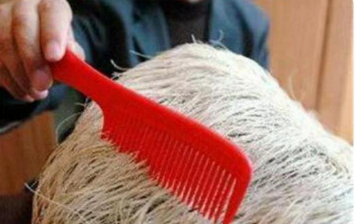 辽宁男人用18万买下了奇石,长满白发的石头