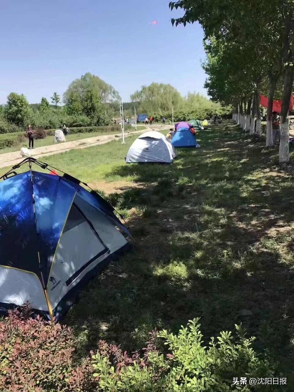 有山有水适合露营的地方沈阳,沈水之阳我心向往节目单