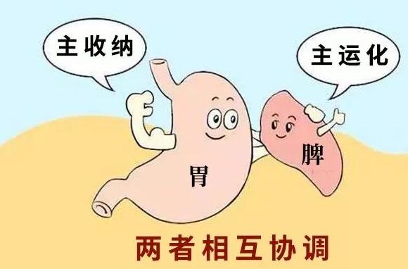 归脾丸巧搭配治肝肾不足,归脾丸加补肾药