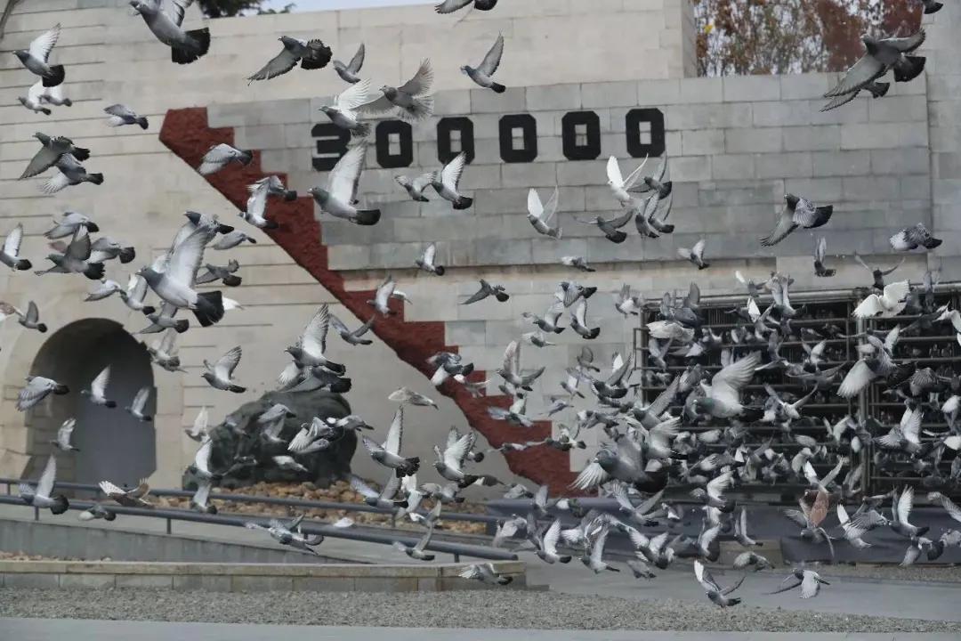 不能忘却的记忆——*京大南***杀屠**