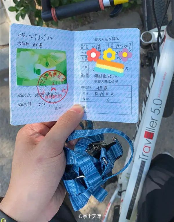 天津上狗证是免费打疫苗吗,在天津养狗需要办狗证吗