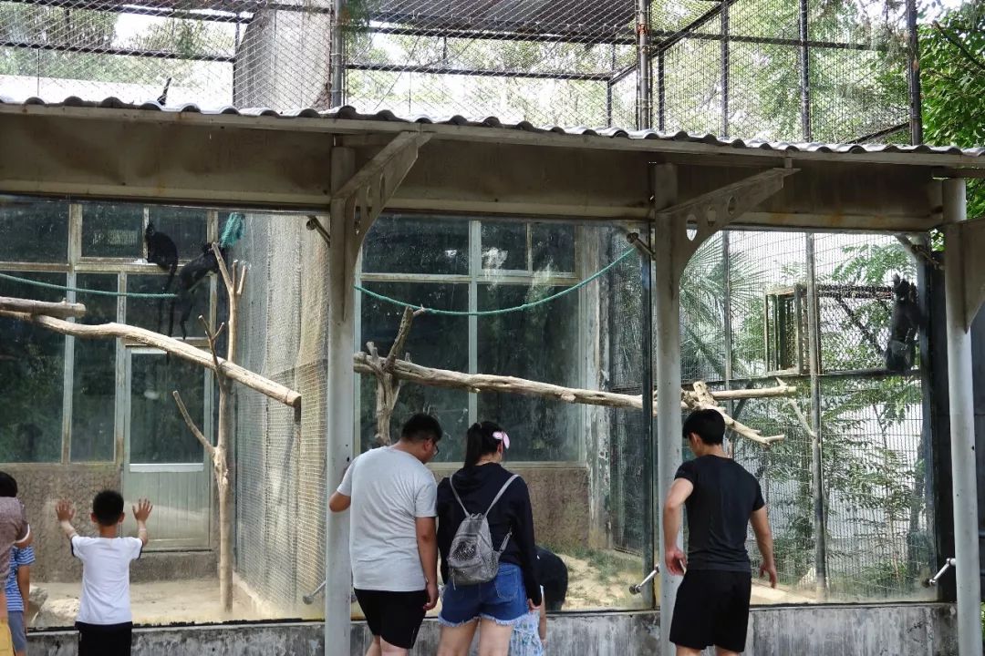 泰州动物园在哪里,泰州动物园在哪