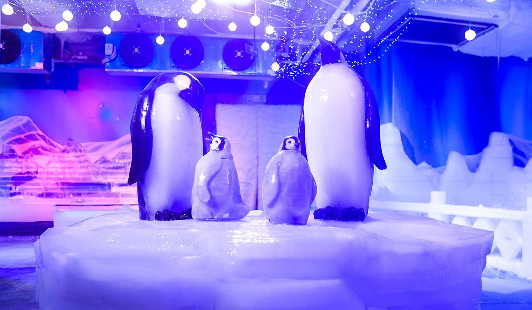 武汉海昌极地海洋公园游玩项目,武汉海昌极地海洋公园游玩时间