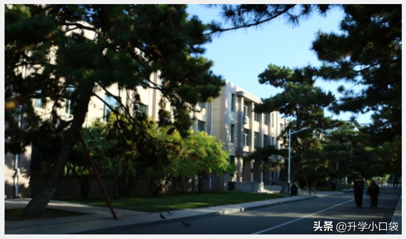 内蒙古农业大学2023保研情况，保研率超过4%，计算机学院保研17人