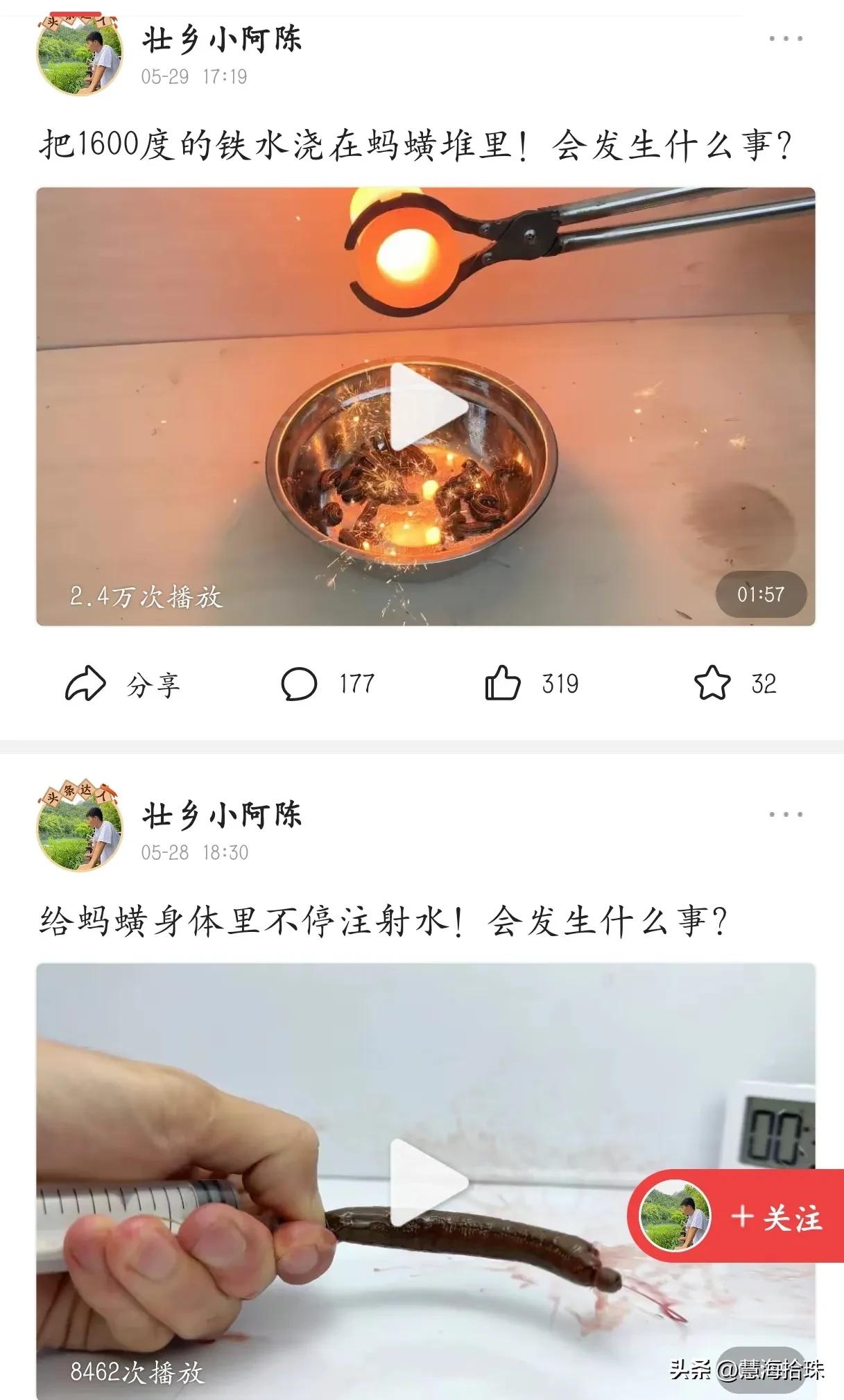 为什么有些人喜欢杀动物,为什么有人会虐猫或虐狗