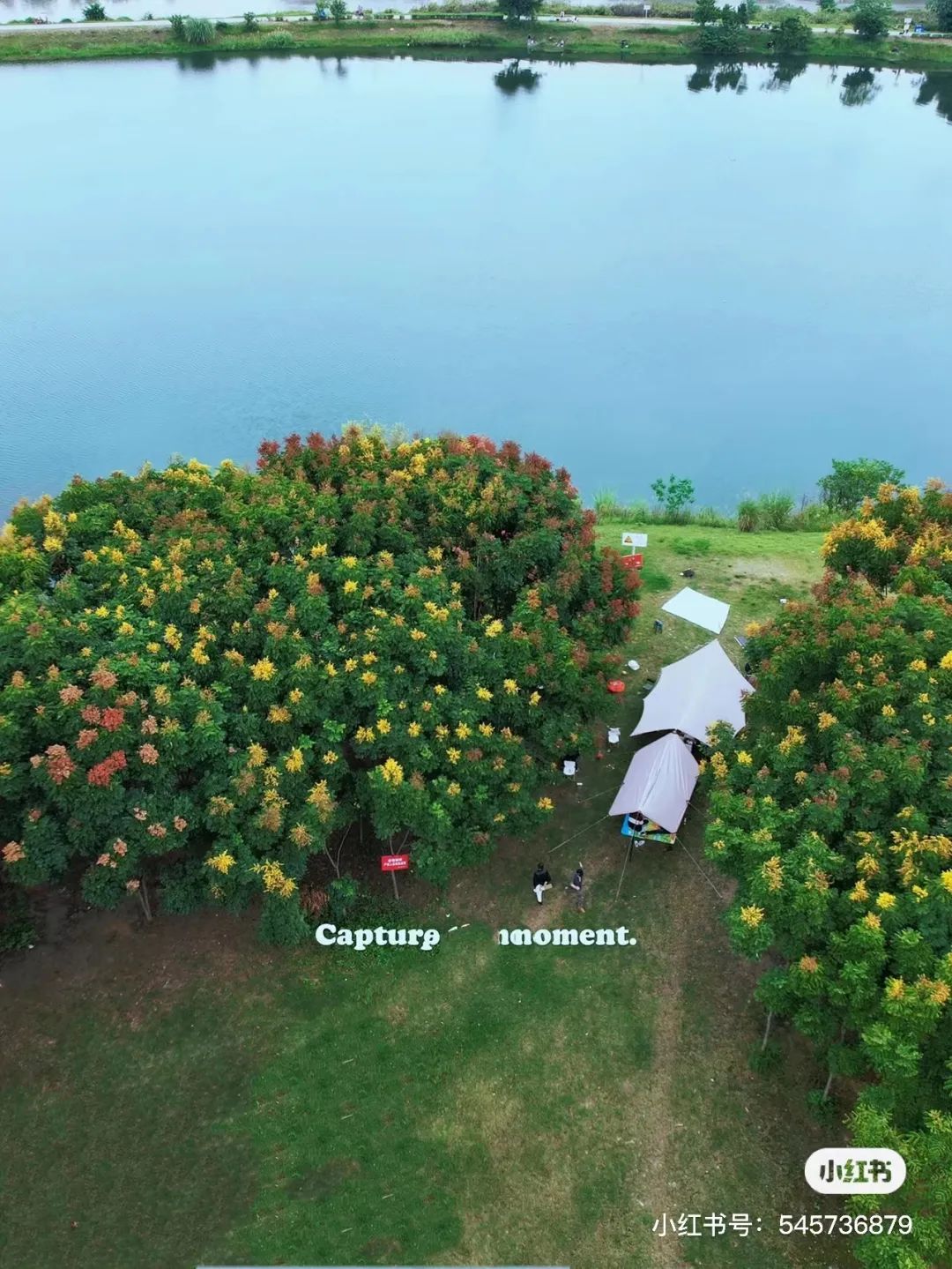 成都周边一日游露营烧烤好去处,成都周边春天适合野炊露营的地方