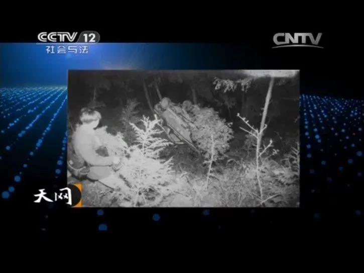 抽丝剥茧却难以解开的谜题，现实却让人大吃一惊