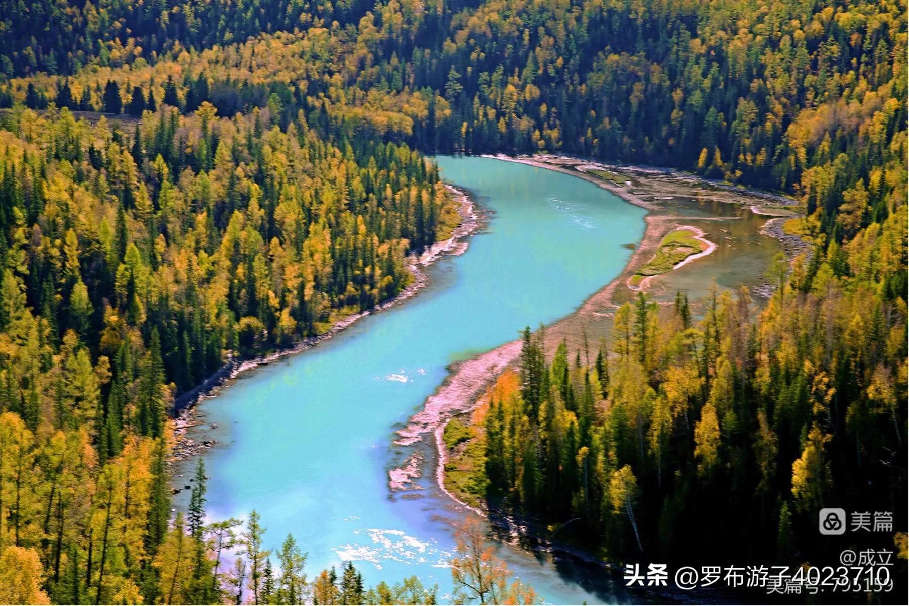 伊力大老窖和小老窖,泸州老窖和伊力老窖