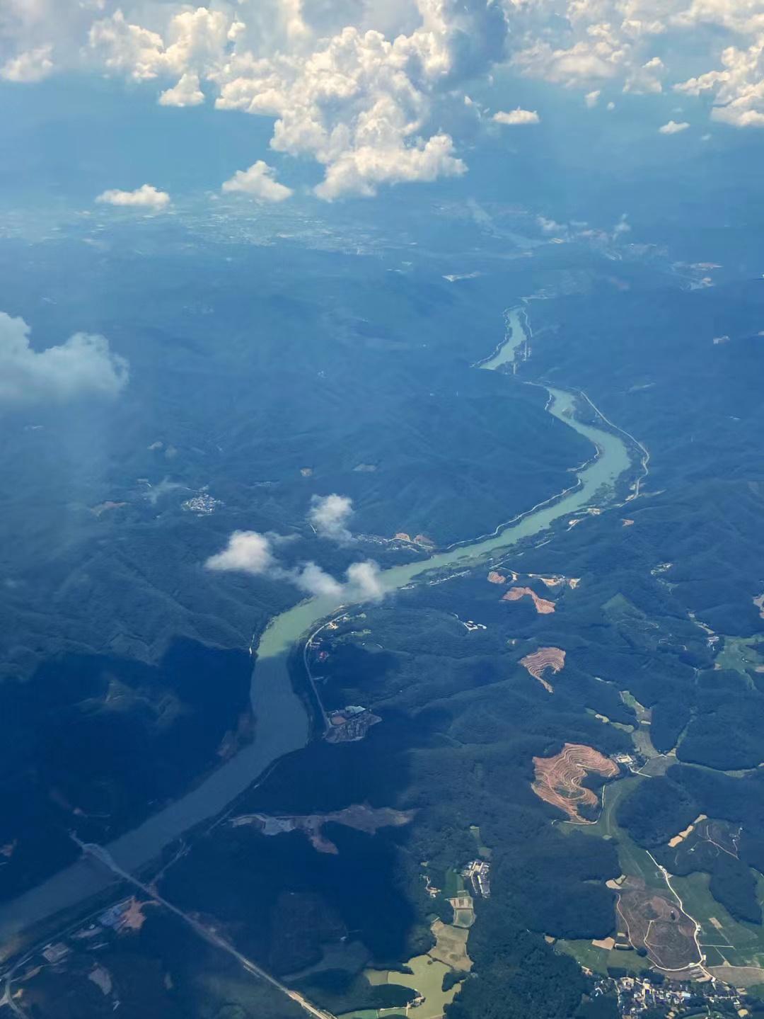 正宗的云南普洱茶是什么样的,真正的云南普洱茶是什么样