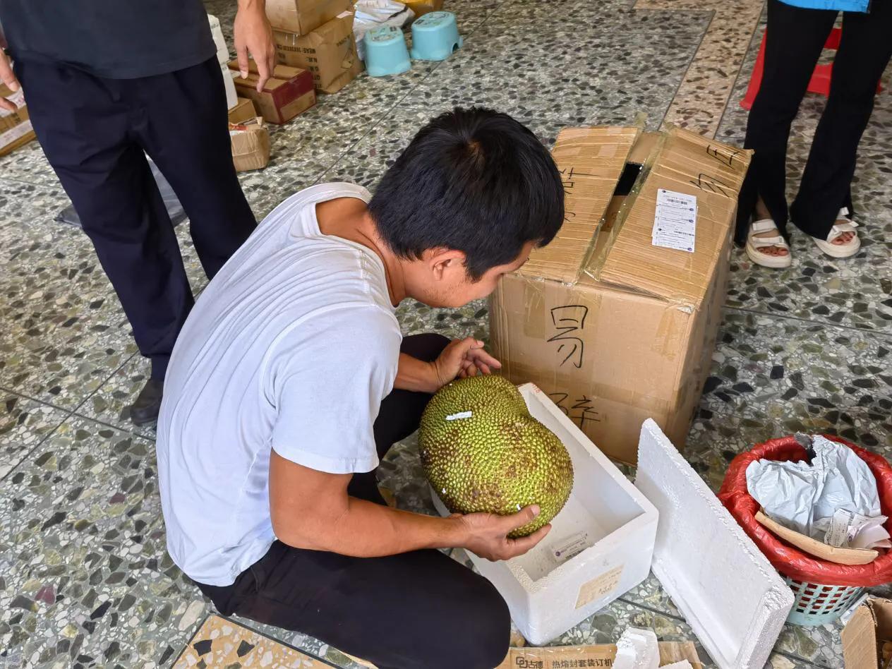 平远县河头镇禁毒标语,2020年乡镇禁毒工作实施方案