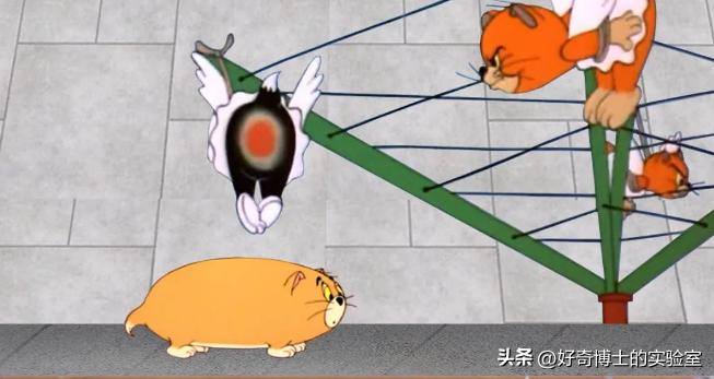 《猫和老鼠》其实不是儿童动画片而是成人片
