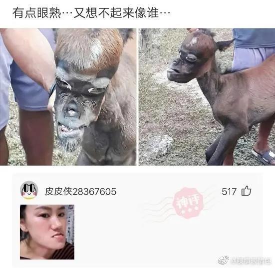 爆笑神评笑死人,搞笑爱情神评