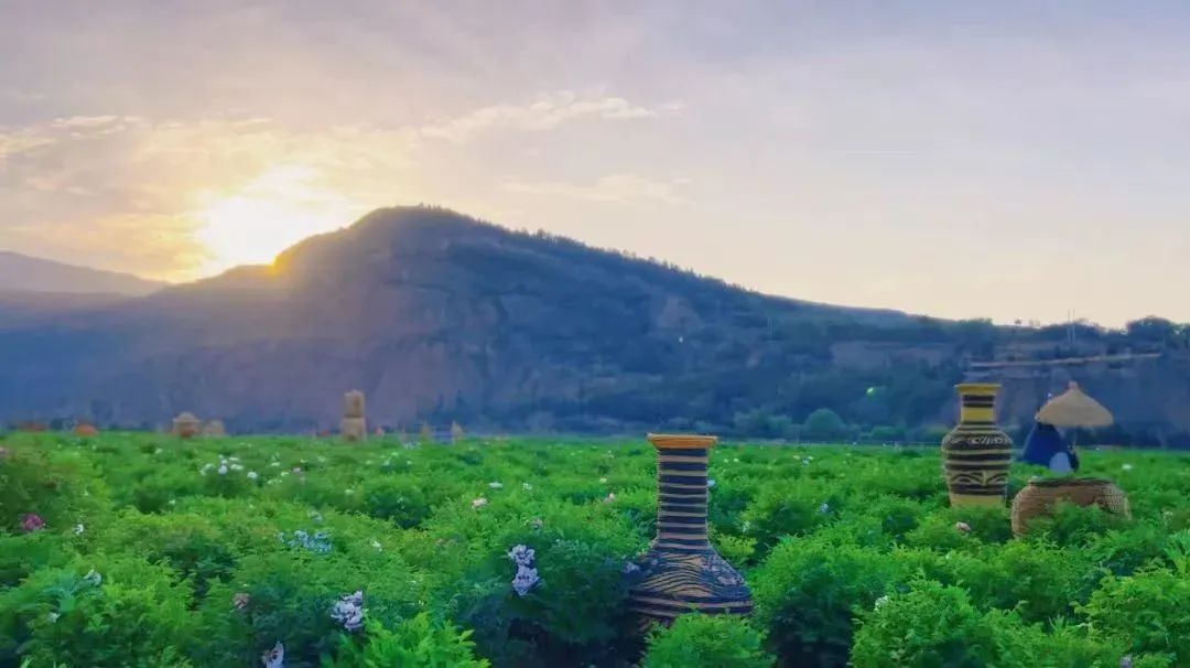 遇见20岁的男孩,遇见20年前的人