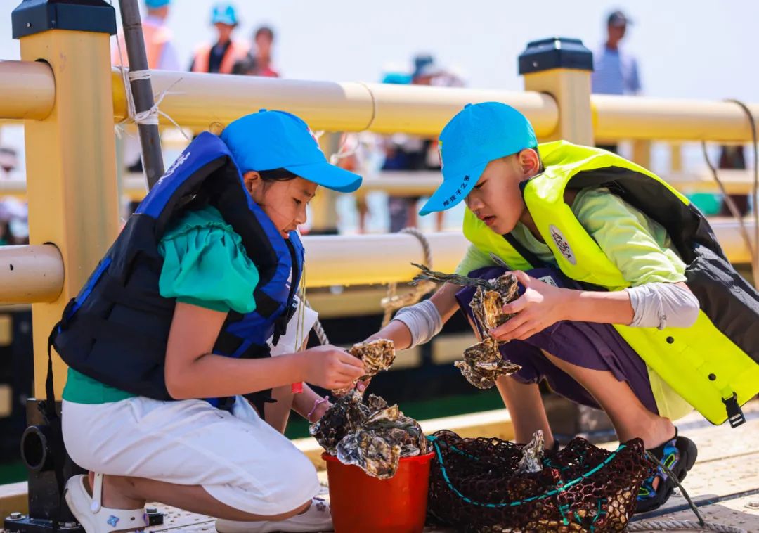 海边城市吃海鲜推荐,海边适合吃海鲜的小众城市