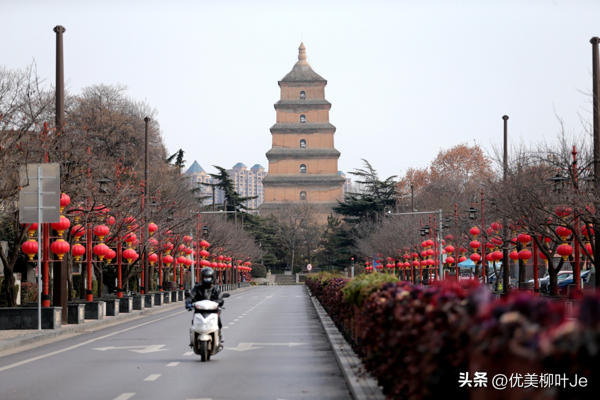 甲流会大规模传染吗,甲流病毒传播途径及防治
