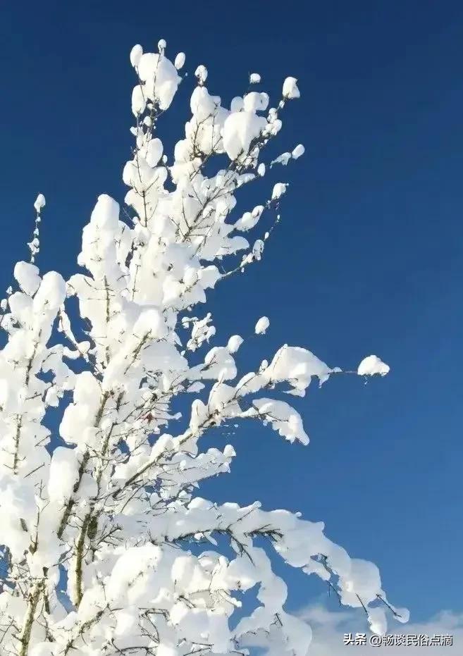 关于三九不冷的农谚,今年春节冷吗会下大雪吗