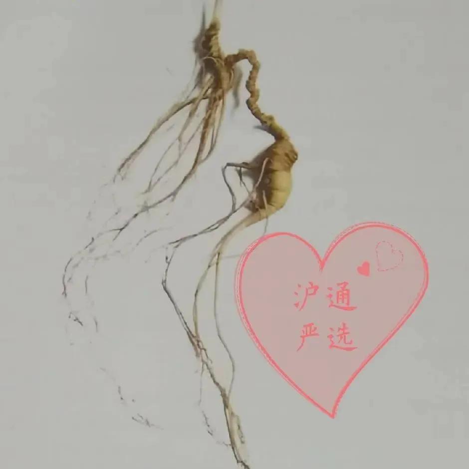 林下参觅货是什么意思,林下参的籽货与蜜货的怎么辨别