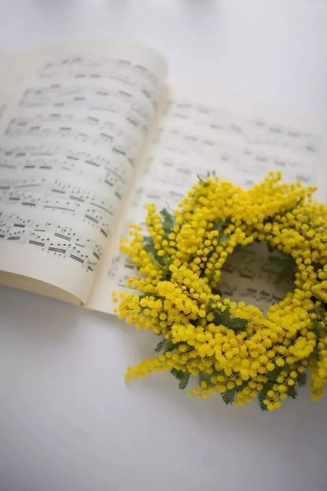 三月花事Vol.2|那些属于女神们的花