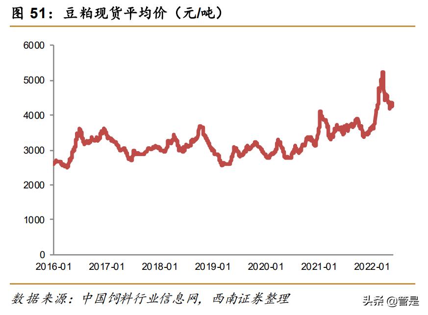 蒙牛乳业前景分析,蒙牛乳业的机遇与优势