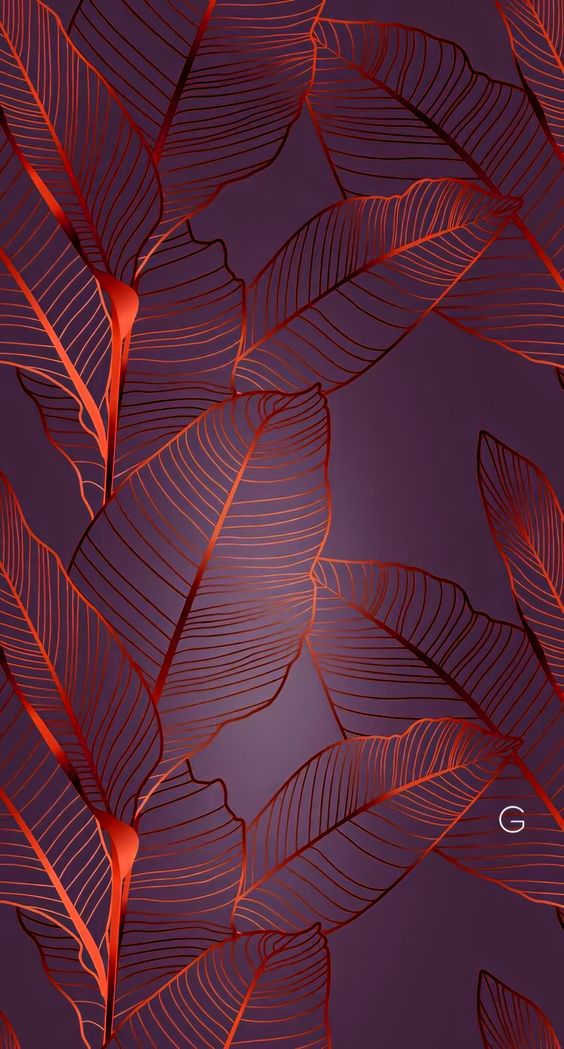 手机型号壁纸图片,169手机壁纸尺寸