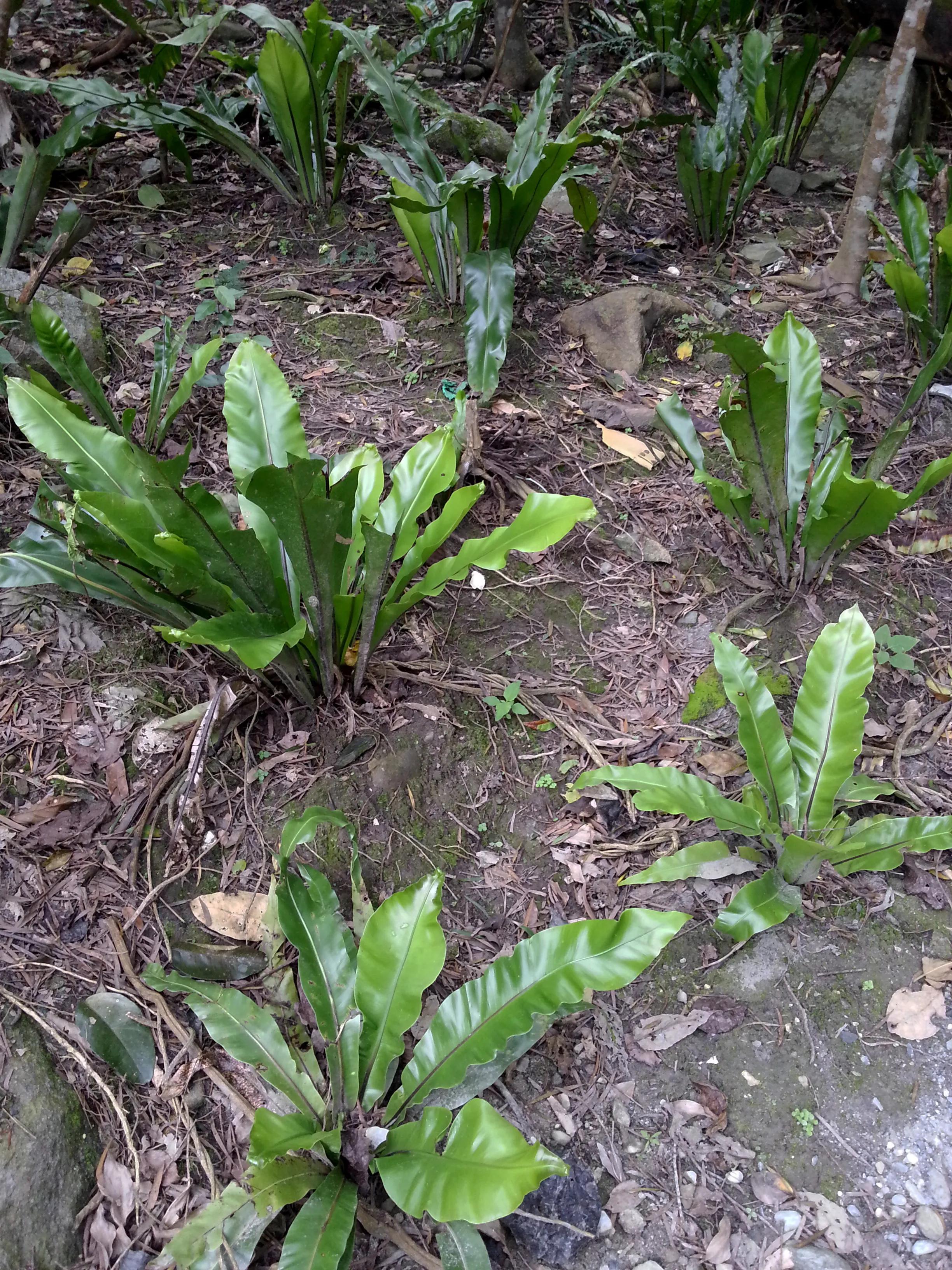 台湾太鲁阁大峡谷绝美风景,台湾太鲁阁大峡谷