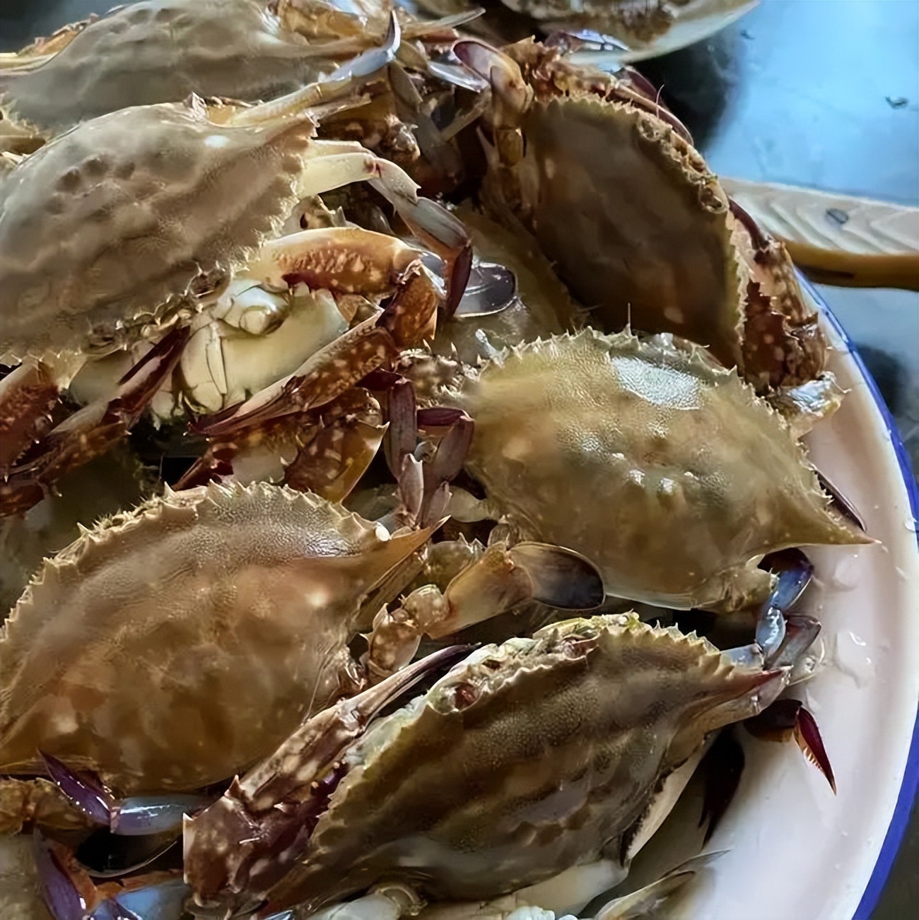 行李箱“无人认领”，就买回家当盲盒开？|栀子的热搜榜