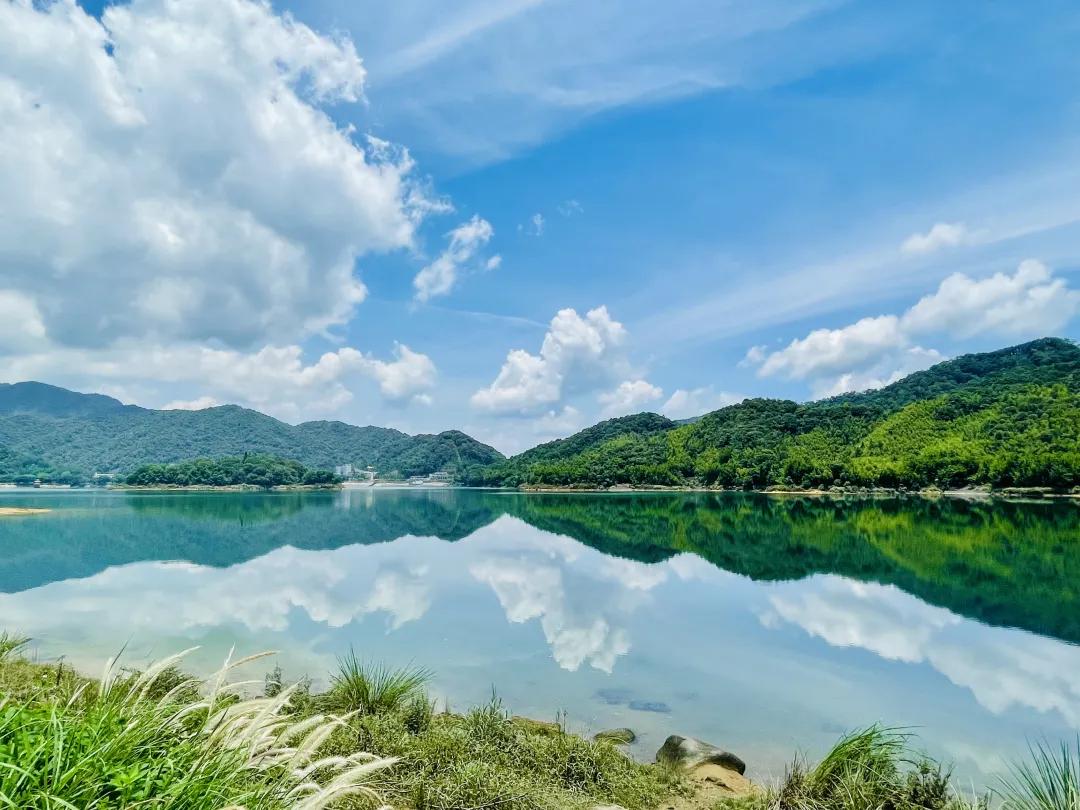 从化草埔村荷花游记,从化小杉村游玩攻略油菜花