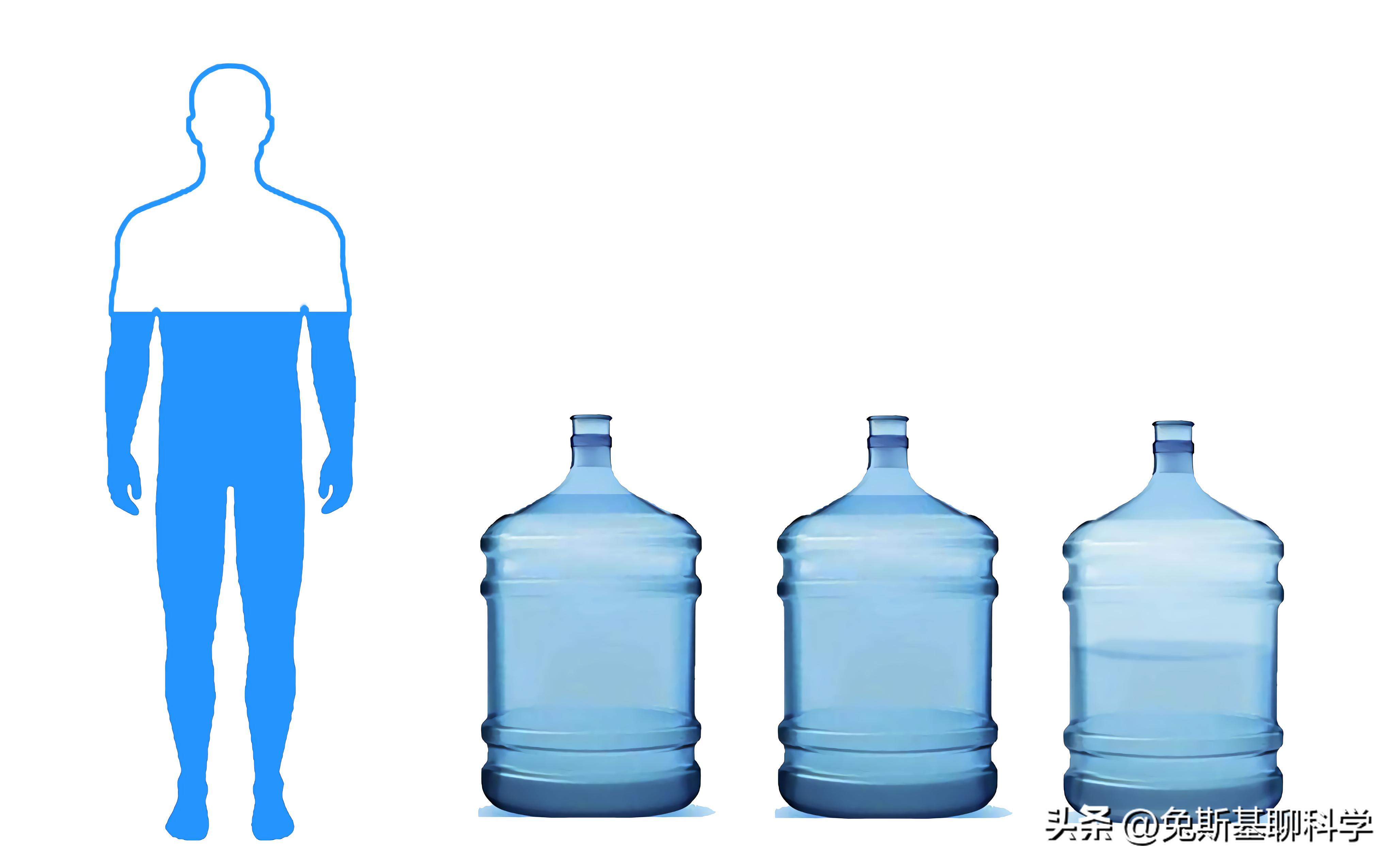 地球有94种化学元素，人类身体用了60多种，造一个人要花多少钱？