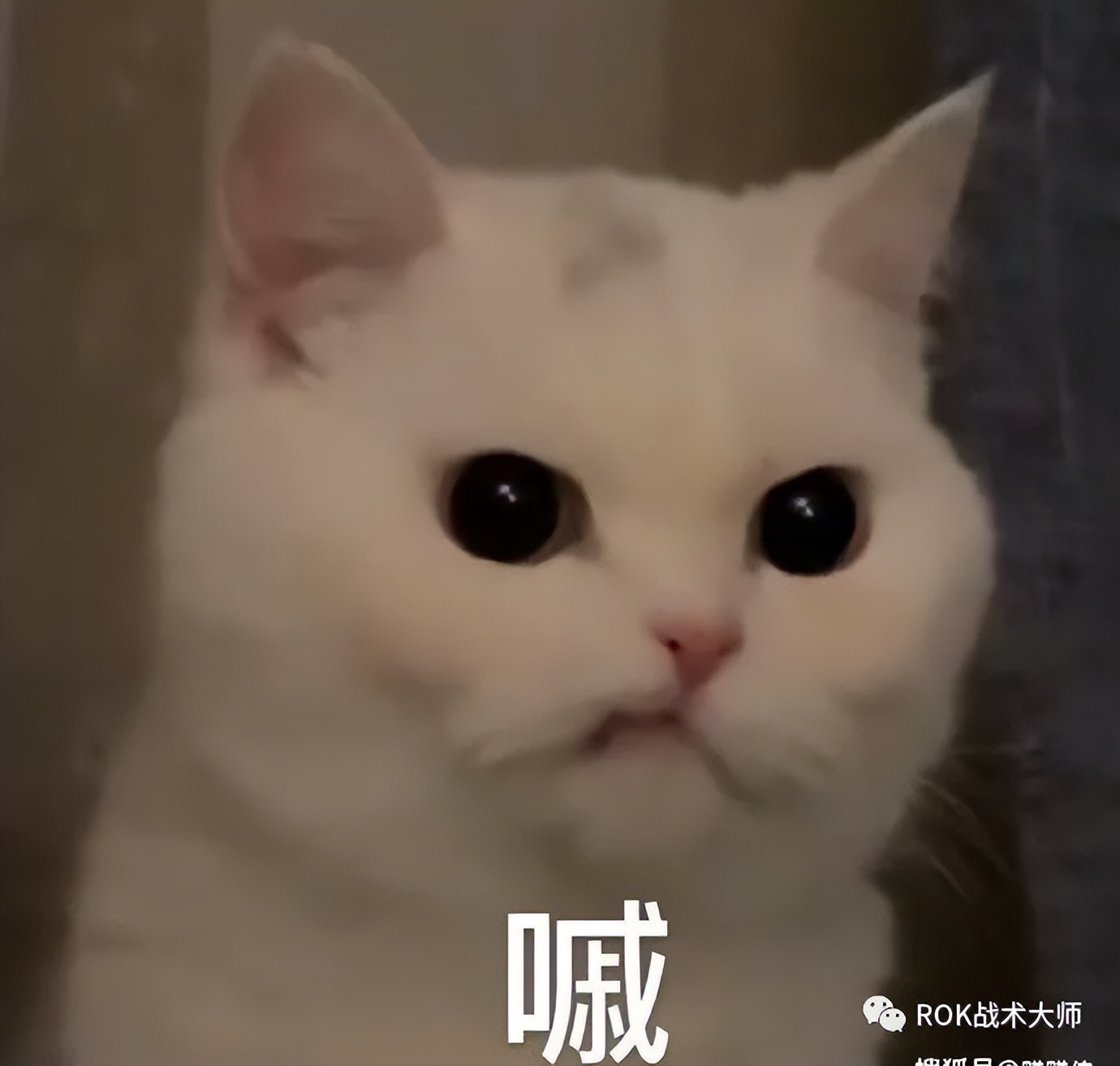 万国觉醒水晶矿怎么采,万国觉醒水晶工厂和研究院