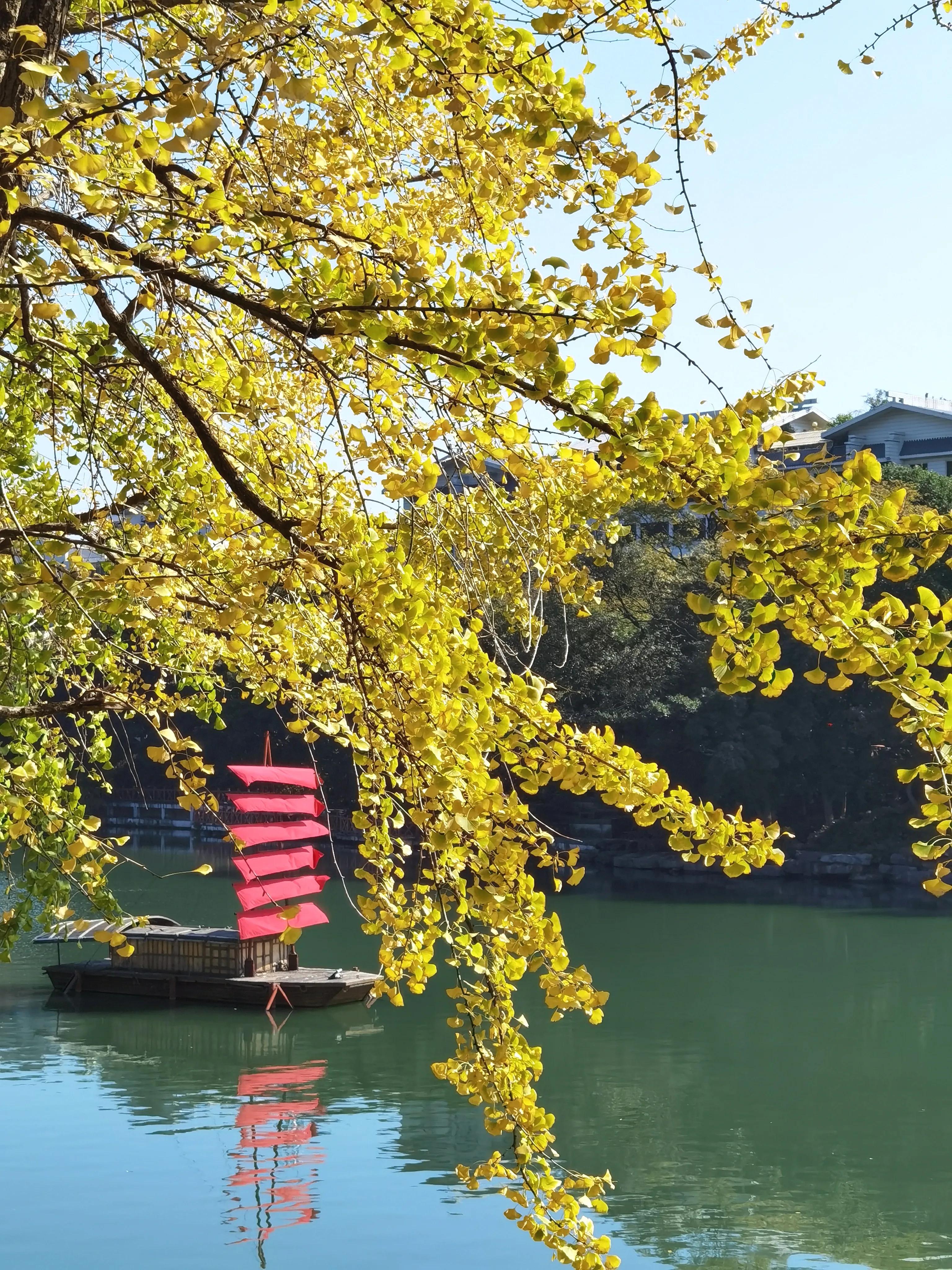 桂林的桂湖在哪里,桂林两江四湖之桂湖