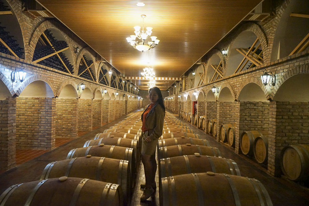 张裕宁夏酒庄最好的干白葡萄酒,宁夏十大葡萄酒酒庄