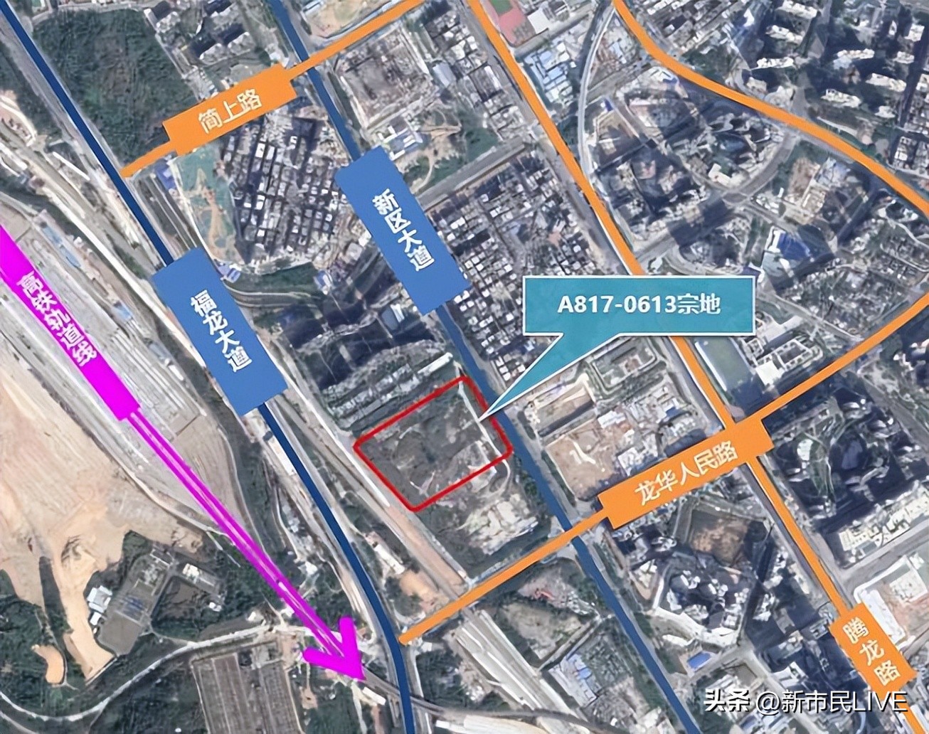 top采访,top采访粉丝