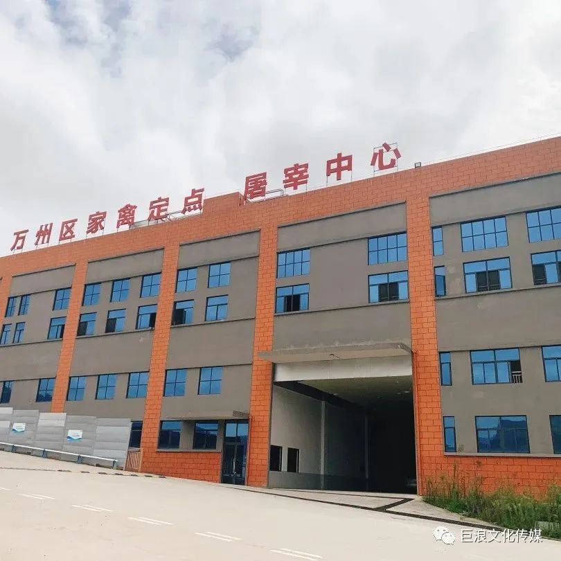 百安港农产品批发市场团购,港区新建最新农产品批发市场