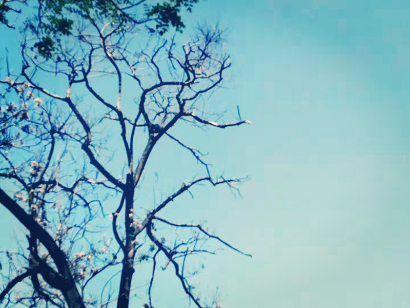 2023高考一轮复习资料历史,2020高考一轮复习技巧