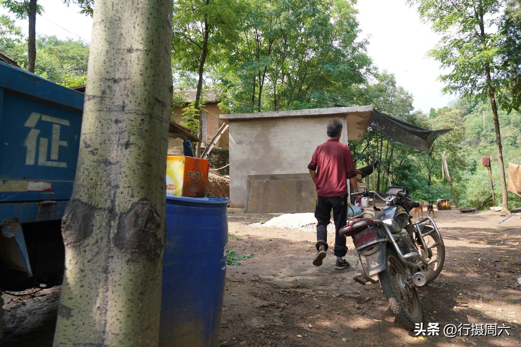 山村兄弟二人搭伙养羊，分配方法奇特，弟弟每年能分8只羊