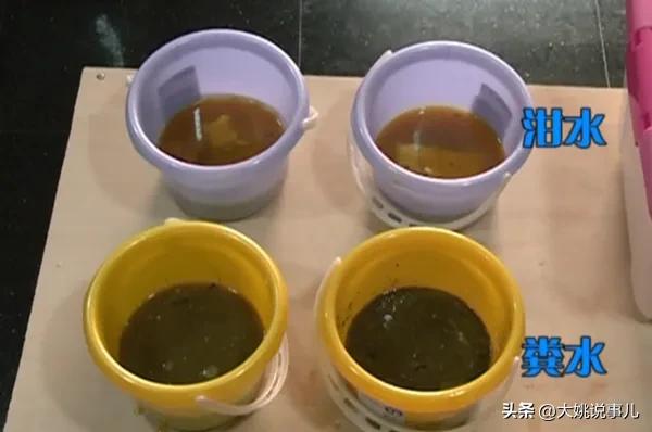 臭豆腐是拿屎发酵的吗,自制的臭豆腐有害吗