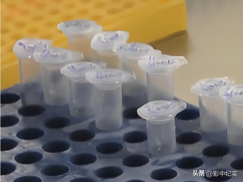 70男子进入药店性侵女店员案件,网店店主侵害29岁女子