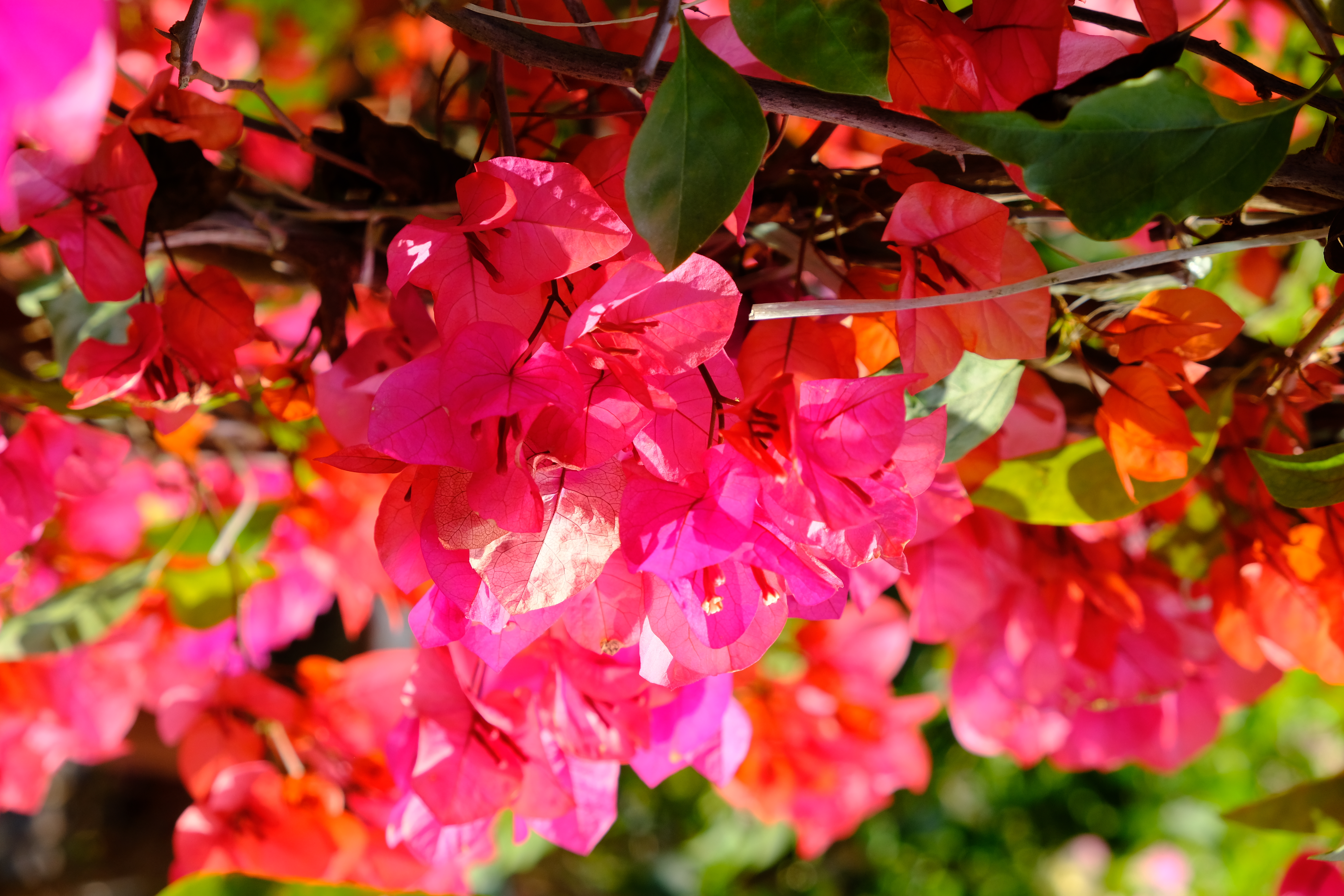 富士xt3配1855镜头拍摄效果,富士xe3套机镜头