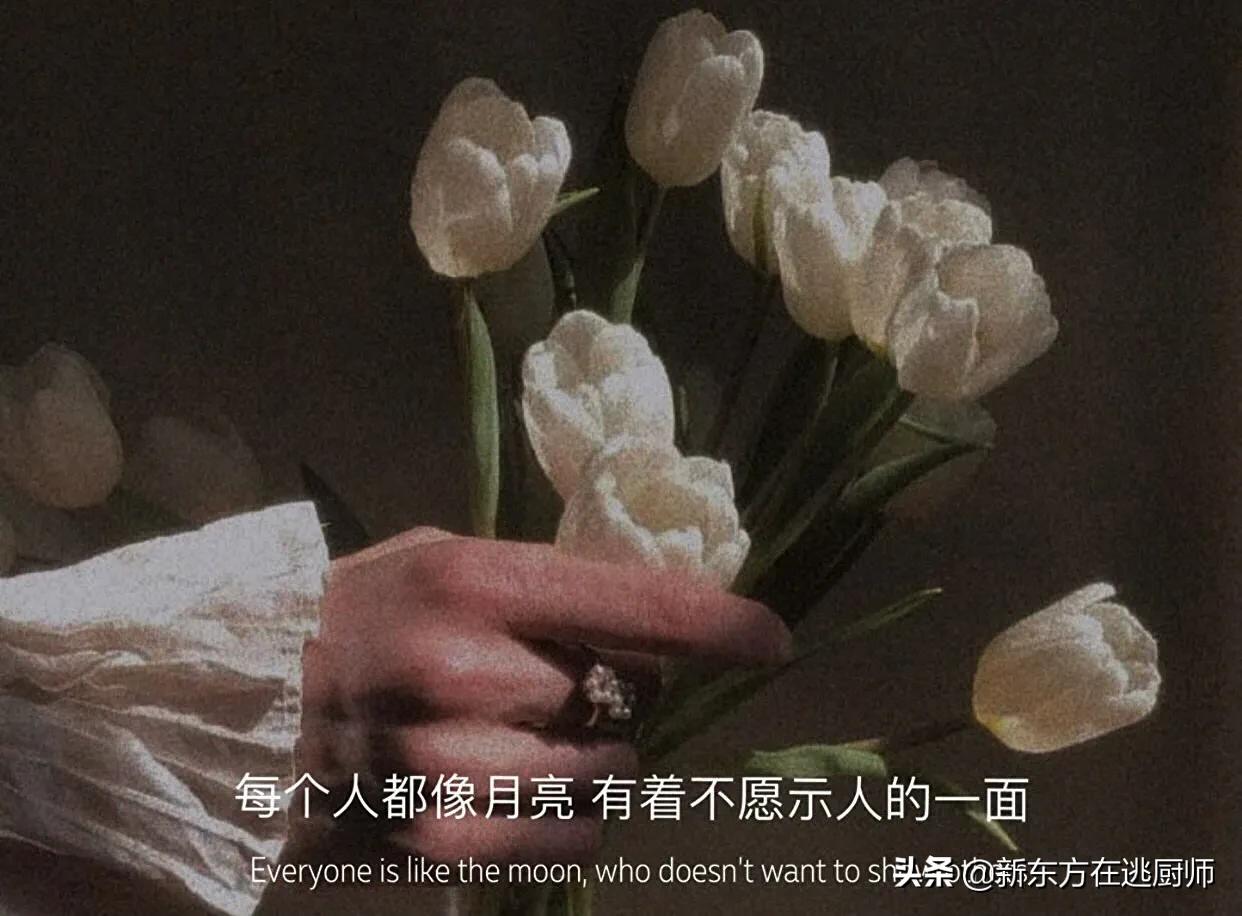 很小众却很惊艳的个性签名简短,收藏了很久的小众个性签名