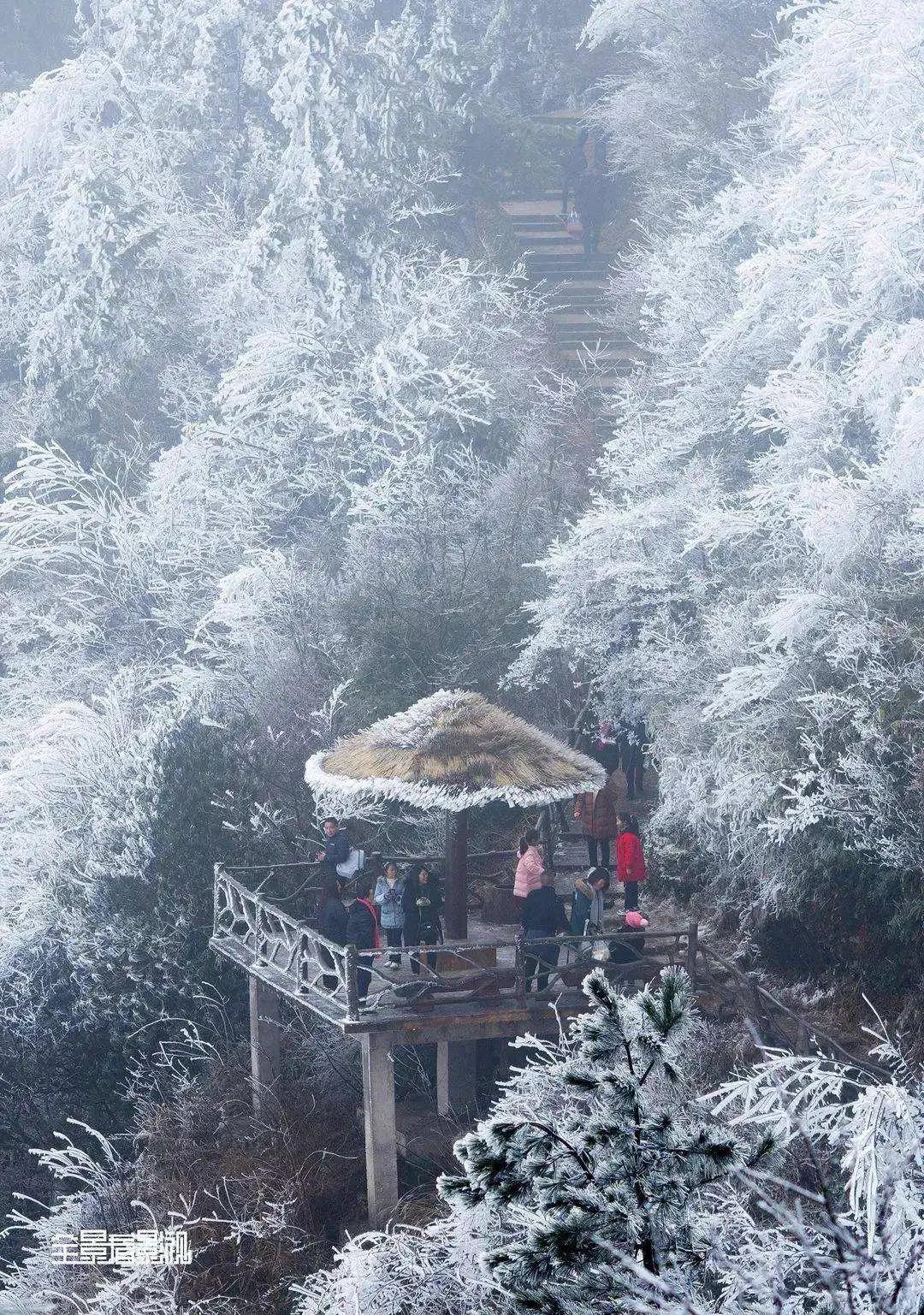 西子畔文学社0118期，酒入苍穹万事空，冰天雪地醉云松