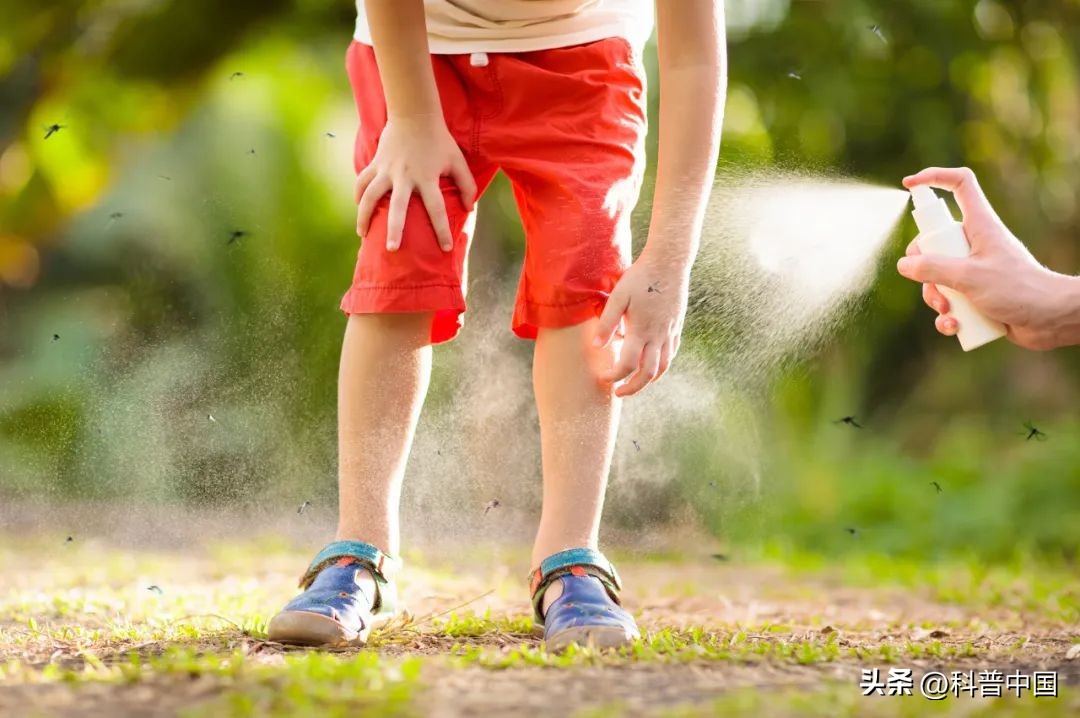 蚊子最爱这六种人,蚊子最爱的男人是谁