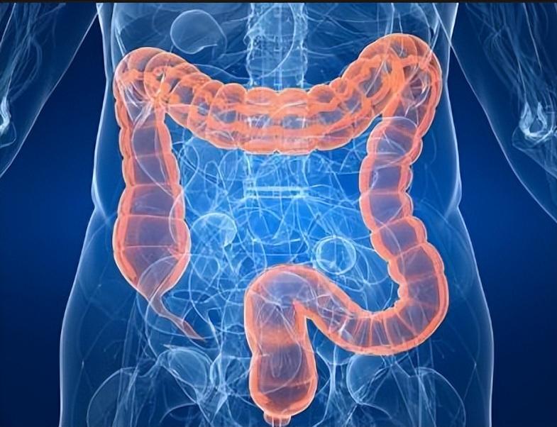 要长寿先肠寿如何保护肠道健康,肠道健康的长寿密码是什么