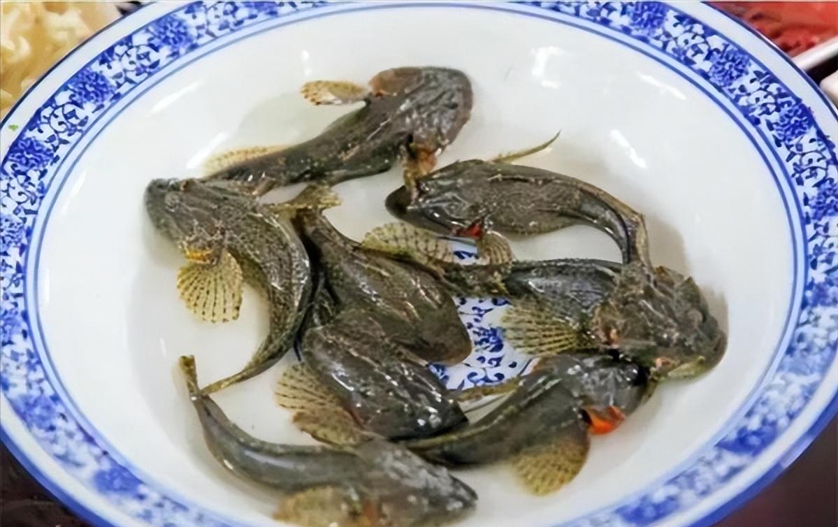 火了1700多年的“江南第一名鱼”，听说连英国女王都没有口福尝到