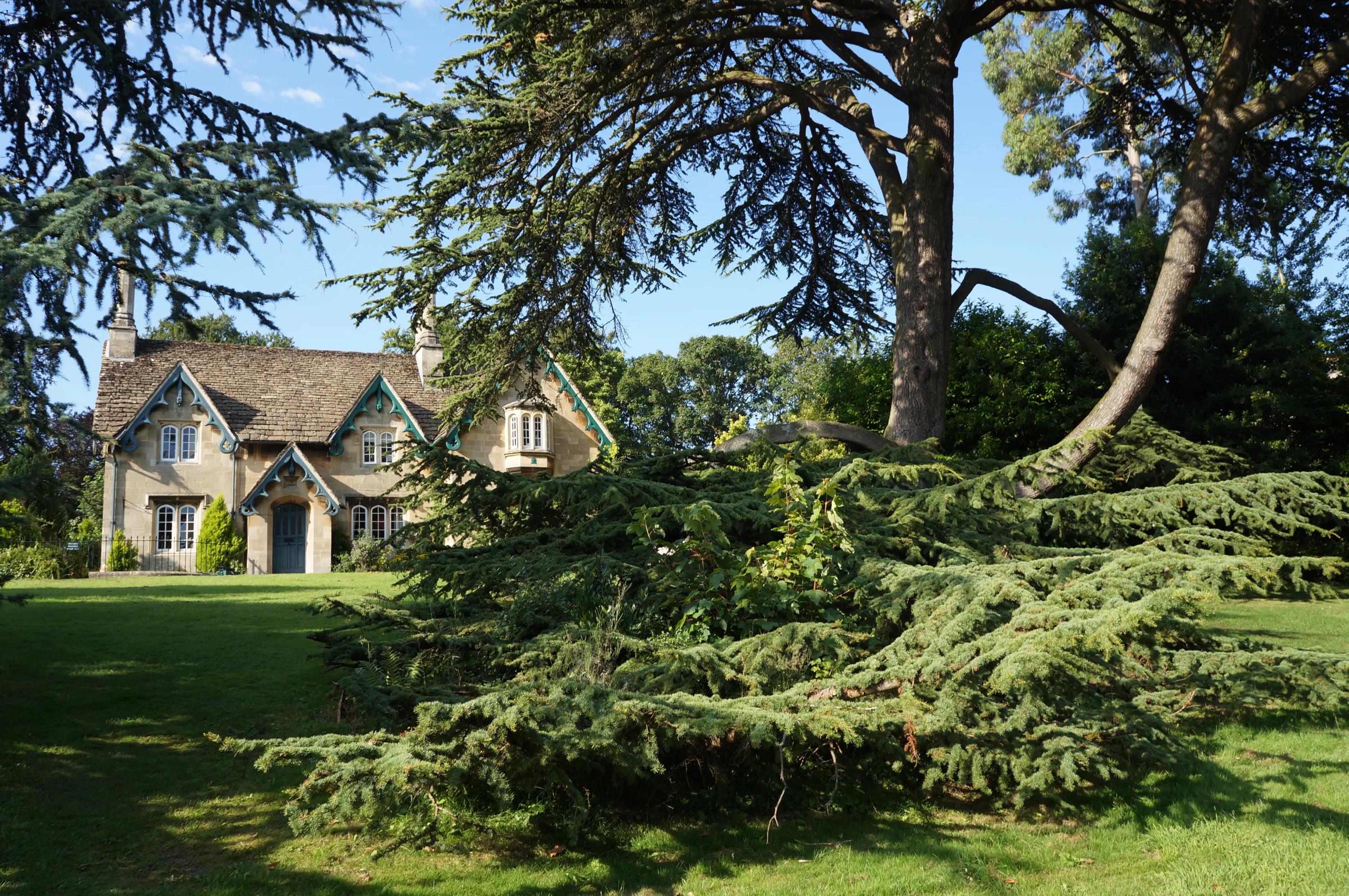 英国之旅完整版,英国巴斯旅游全攻略