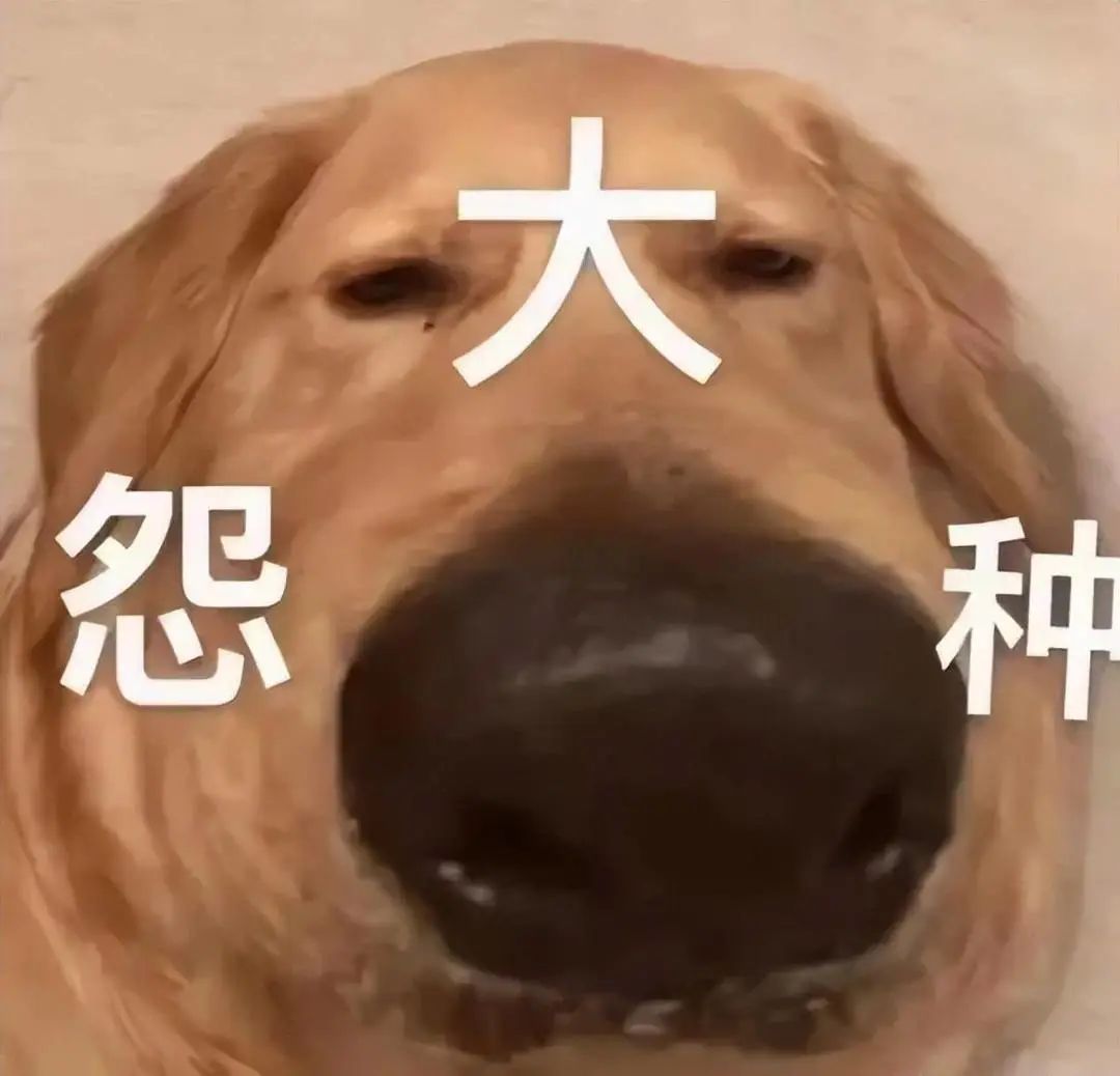 孩子班级群里出现假老师收款,假老师在班级群里收资料费